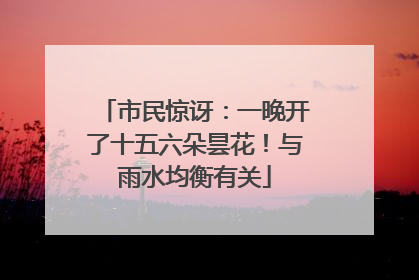 市民惊讶：一晚开了十五六朵昙花！与雨水均衡有关