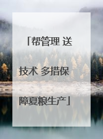 帮管理 送技术 多措保障夏粮生产