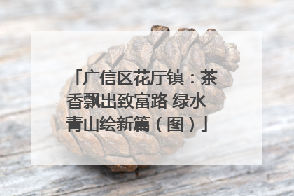 广信区花厅镇：茶香飘出致富路 绿水青山绘新篇（图）