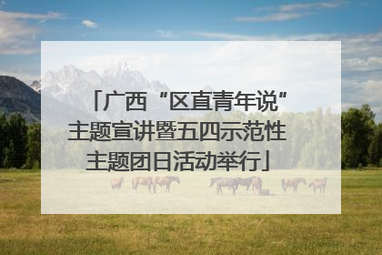 广西“区直青年说”主题宣讲暨五四示范性主题团日活动举行