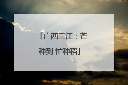 广西三江：芒种到 忙种稻