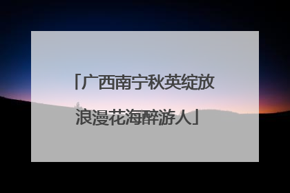 广西南宁秋英绽放 浪漫花海醉游人