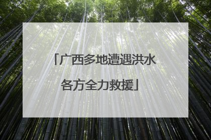 广西多地遭遇洪水 各方全力救援
