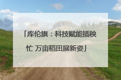 库伦旗：科技赋能插秧忙 万亩稻田展新姿