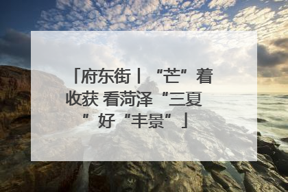 府东街丨“芒”着收获 看菏泽“三夏”好“丰景”