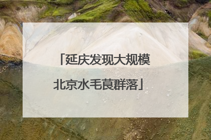延庆发现大规模北京水毛茛群落