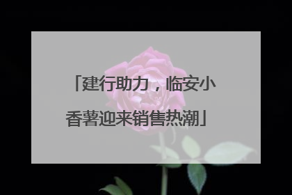 建行助力，临安小香薯迎来销售热潮