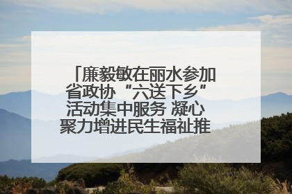 廉毅敏在丽水参加省政协“六送下乡”活动集中服务 凝心聚力增进民生福祉推进共同富裕