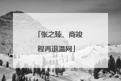 张之臻、商竣程再退温网