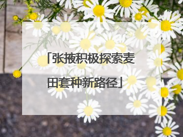张掖积极探索麦田套种新路径