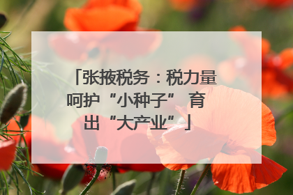 张掖税务：税力量呵护“小种子” 育出“大产业”