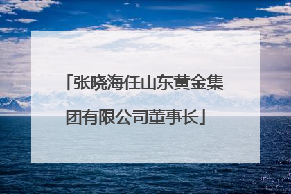 张晓海任山东黄金集团有限公司董事长