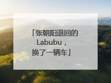 张朝阳退回的Labubu，换了一辆车