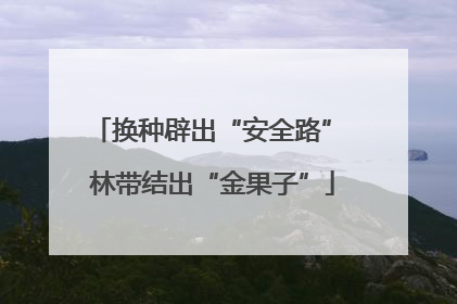 换种辟出“安全路” 林带结出“金果子”