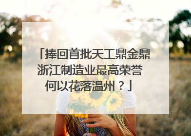 捧回首批天工鼎金鼎 浙江制造业最高荣誉何以花落温州？