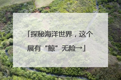 探秘海洋世界，这个展有“鲸”无险→