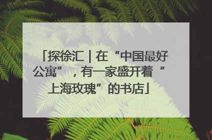 探徐汇｜在“中国最好公寓”，有一家盛开着“上海玫瑰”的书店