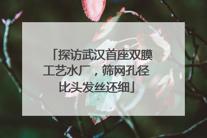 探访武汉首座双膜工艺水厂，筛网孔径比头发丝还细