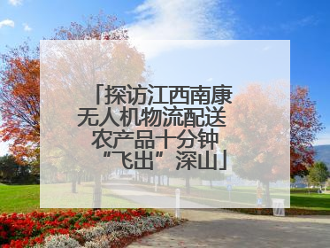 探访江西南康无人机物流配送 农产品十分钟“飞出”深山