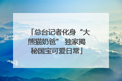 总台记者化身“大熊猫奶爸” 独家揭秘国宝可爱日常