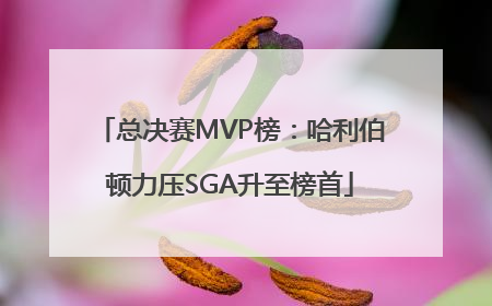 总决赛MVP榜：哈利伯顿力压SGA升至榜首
