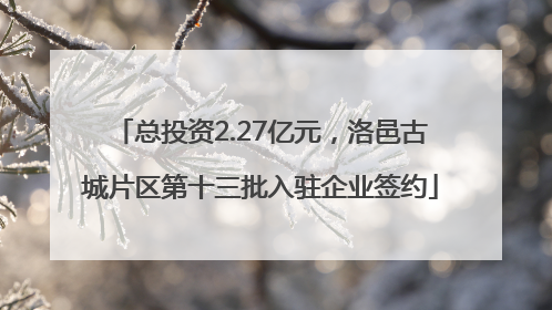 总投资2.27亿元，洛邑古城片区第十三批入驻企业签约