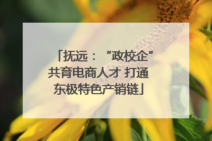 抚远：“政校企”共育电商人才 打通东极特色产销链