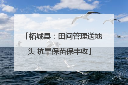 柘城县：田间管理送地头 抗旱保苗保丰收