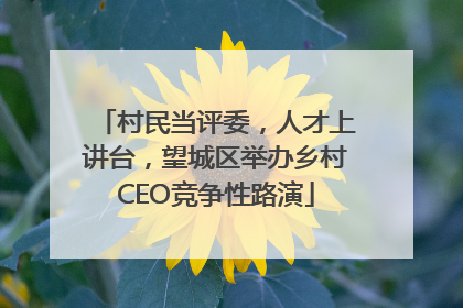 村民当评委，人才上讲台，望城区举办乡村CEO竞争性路演