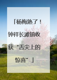 杨梅熟了！钟祥长滩镇收获“舌尖上的惊喜”