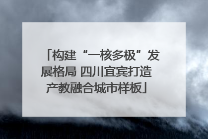 构建“一核多极”发展格局 四川宜宾打造产教融合城市样板