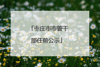 枣庄市市管干部任前公示