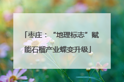 枣庄：“地理标志”赋能石榴产业蝶变升级