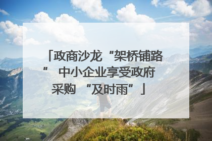 政商沙龙“架桥铺路” 中小企业享受政府采购 “及时雨”