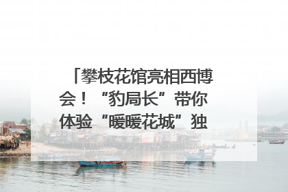 攀枝花馆亮相西博会！“豹局长”带你体验“暖暖花城”独特魅力｜西博视界