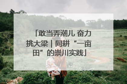敢当弄潮儿 奋力挑大梁｜同耕“一亩田”的崇川实践