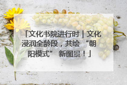文化书院进行时｜文化浸润全龄段，共绘 “朝阳模式” 新图景！