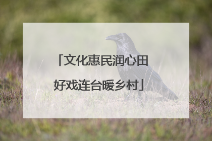 文化惠民润心田 好戏连台暖乡村