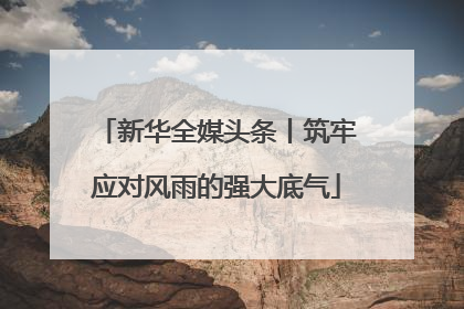 新华全媒头条丨筑牢应对风雨的强大底气