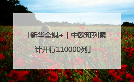 新华全媒+｜中欧班列累计开行110000列