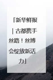 新华鲜报｜古都携手丝路！丝博会绽放新活力