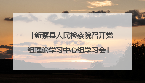 新蔡县人民检察院召开党组理论学习中心组学习会