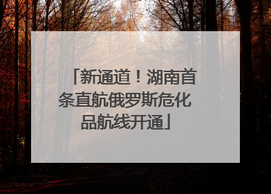 新通道！湖南首条直航俄罗斯危化品航线开通