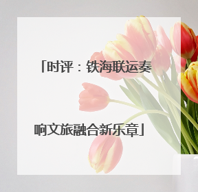 时评：铁海联运奏响文旅融合新乐章