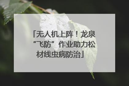 无人机上阵！龙泉“飞防”作业助力松材线虫病防治