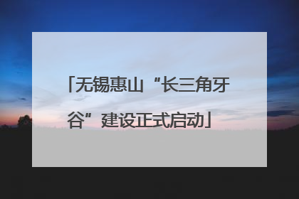 无锡惠山“长三角牙谷”建设正式启动