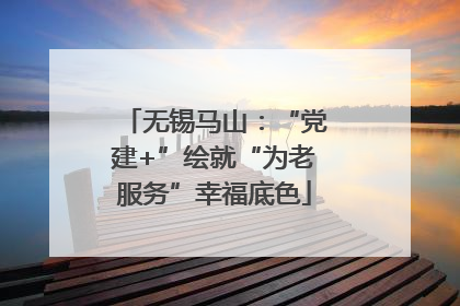 无锡马山：“党建+”绘就“为老服务”幸福底色