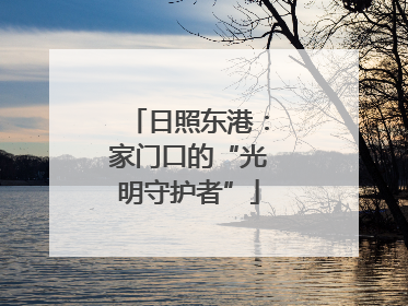 日照东港：家门口的“光明守护者”