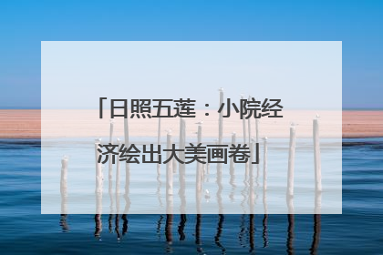 日照五莲：小院经济绘出大美画卷