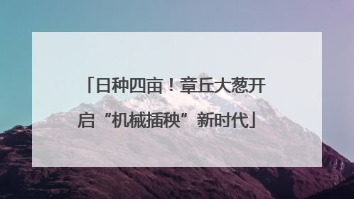 日种四亩！章丘大葱开启“机械插秧”新时代